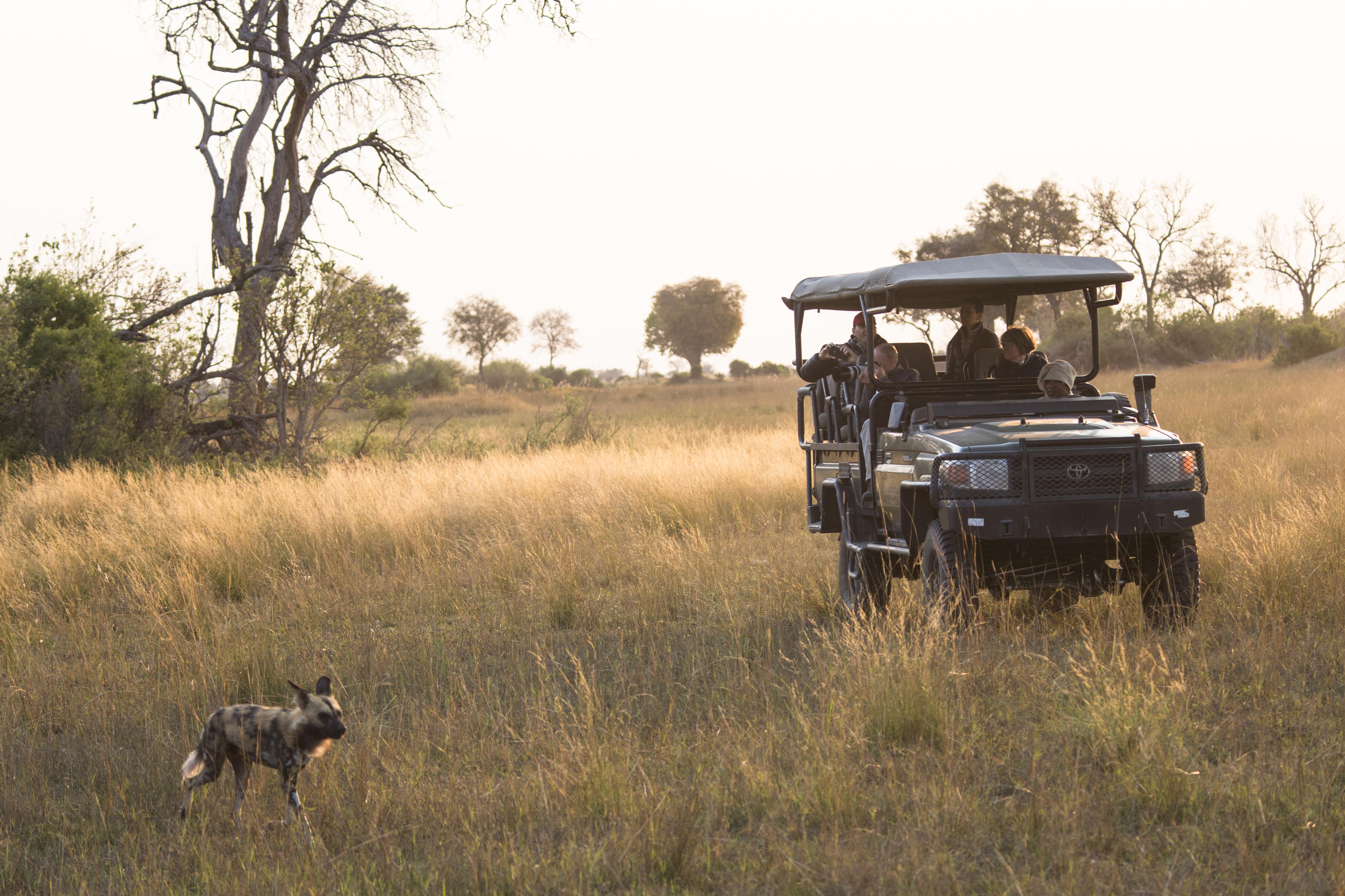 Duba Explorers Camp thumbnail 16